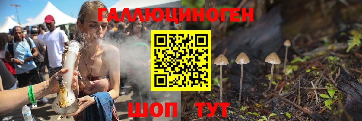 Галлюциногенные грибы GOLDEN TEACHER  Псилоцибиновые грибы MAGIC MUSHROOMS  Вход с VPN  наркотики  Ишимбай 